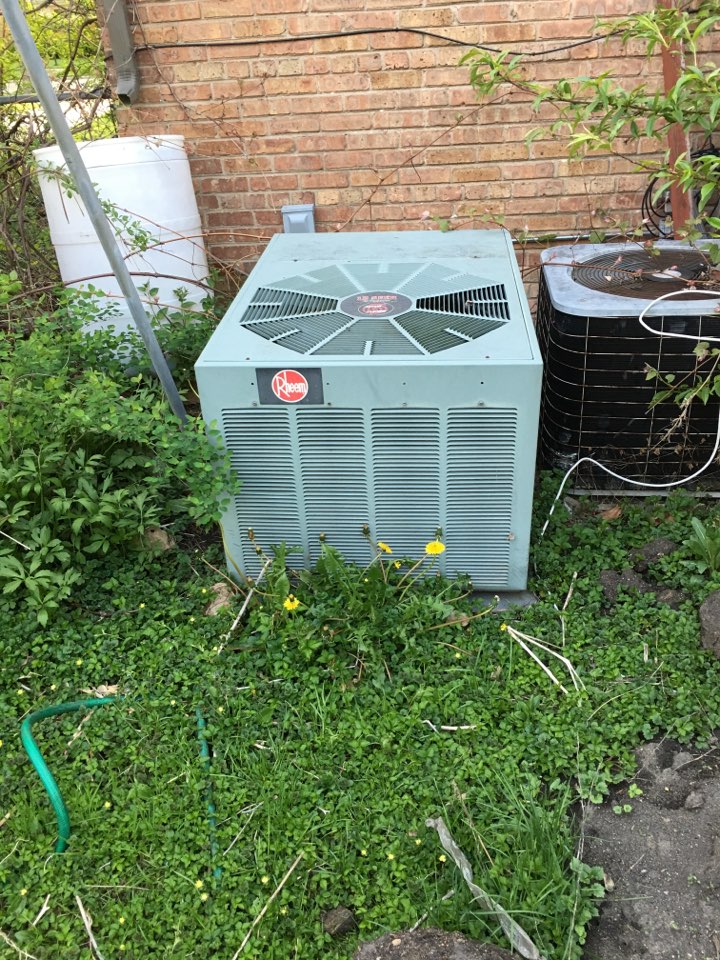 Spring Ac-tuneup in Morton grove, cleaning this Rheem unit. in Mansfield Ave, Morton Grove, IL, USA.